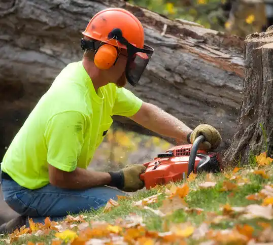 tree services Morven